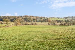 Photo 3- click for photo gallery